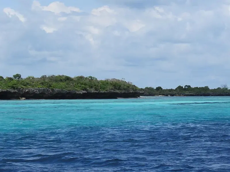 Leopard 48 (ID=9380) - фото 47