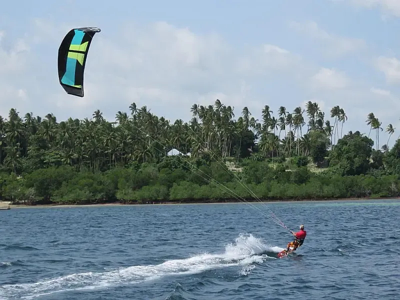 Leopard 48 (ID=9380) - фото 48