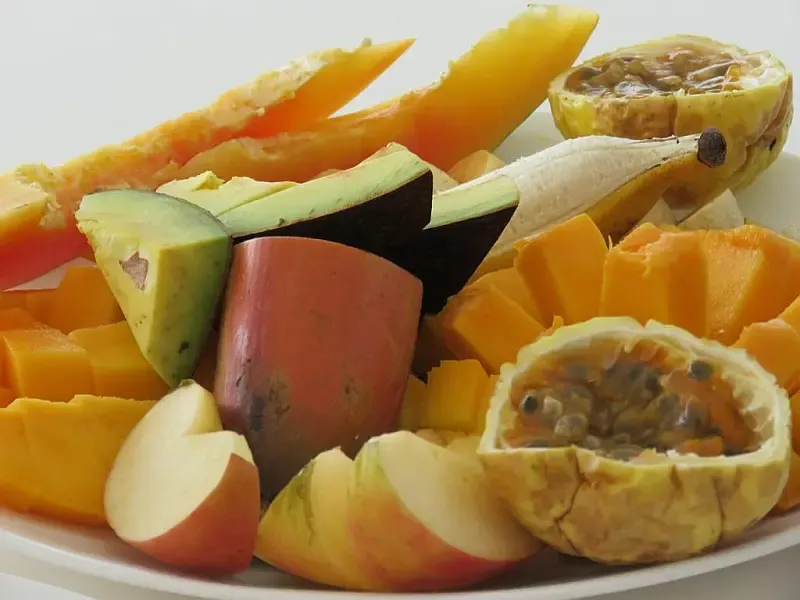 Leopard 48 (ID=9380) - фото 15