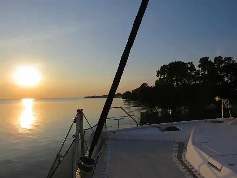 Leopard 48 (ID=9380) - фото 55