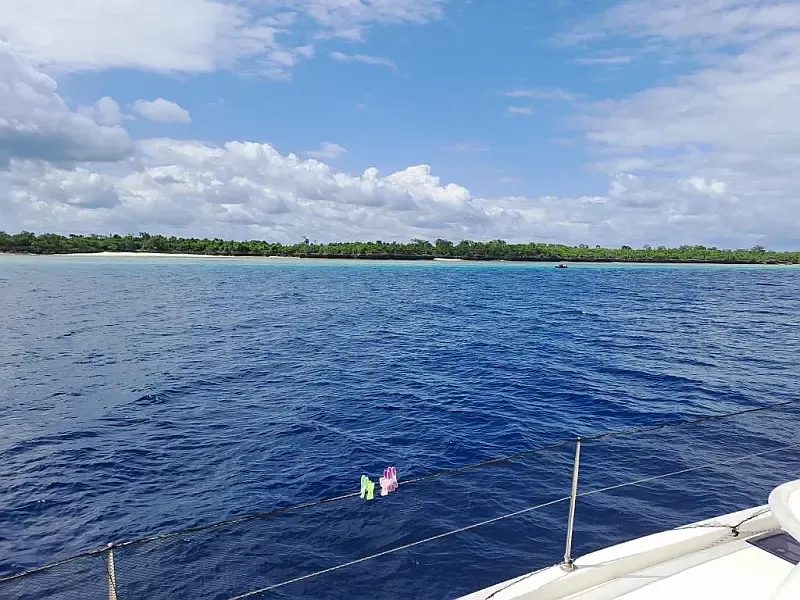 Leopard 48 (ID=9380) - фото 35