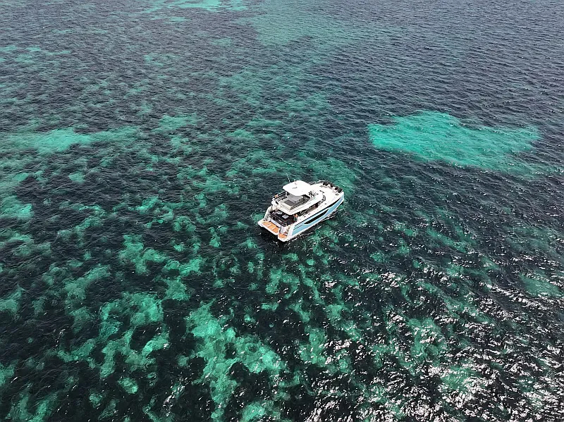 Prestige M48 (ID=9850) - фото 5