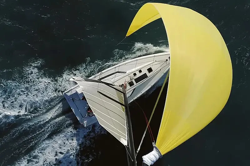 Pogo 44 (ID=9991) - фото 4