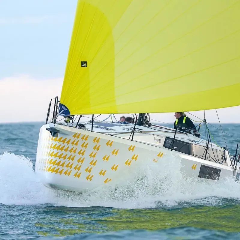 Pogo 44 (ID=9991) - фото 36