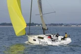 Pogo 44 (ID=10029) - фото 7