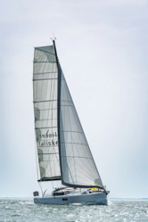 Pogo 36 (ID=10213) - фото 12