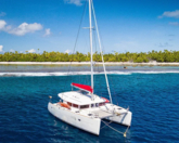 Lagoon 400 S2 (ID=10224) - фото 5