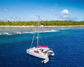 Lagoon 400 S2 (ID=10224) - фото 4