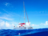 Lagoon 400 S2 (ID=10224)