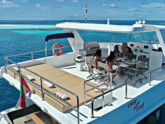Power Catamaran (ID=10230) - фото 12