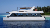Power Catamaran (ID=10230) - фото 19