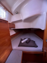 Bavaria 39 Cruiser (ID=10402) - фото 13