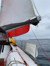 Dufour 460 Grand Large (ID=10609) - фото 9