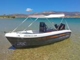 Motorboat (ID=10620) - фото 2