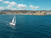 Bavaria Cruiser 40 (ID=10780) - фото 9