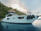 Motoryacht (ID=11116) - фото 4