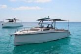 Ryck 280 (ID=11194) - фото 8
