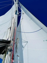 Lagoon 450 Sport (ID=1121) - фото 11