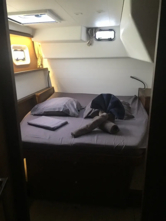 Lagoon 450 Sport (ID=1124) - фото 16