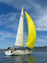 Hanse 505 (ID=11833) - фото 5