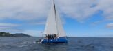 Yatlant 24 (ID=11865) - фото 12