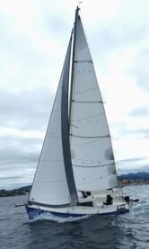 Yatlant 24 (ID=11865) - фото 13