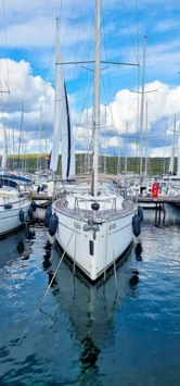 Bavaria 46 (ID=12126) - фото 5