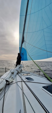 Pogo 36 (ID=12621) - фото 11