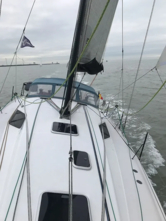 Pogo 36 (ID=13064) - фото 6