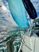 Pogo 36 (ID=13064) - фото 12