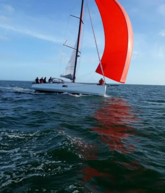 Pogo 12.5 (ID=13122) - фото 18