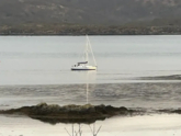 Sun Odyssey 37 (ID=13210) - фото 4