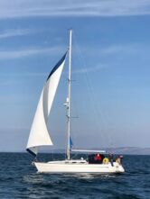 Bavaria 42 Cruiser (ID=13216) - фото 7