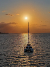 Lagoon 46 (ID=13241) - фото 15