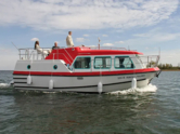 Pirate 915 (ID=13255)