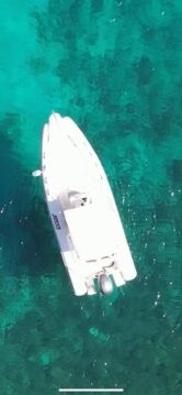 Jokerboat Clubman 22 (ID=13513) - фото 5