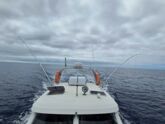Rodman 900 Fly (ID=13749) - фото 7
