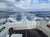 Rodman 900 Fly (ID=13749) - фото 5