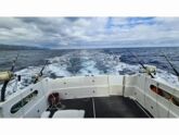 Rodman 900 Fly (ID=13749) - фото 3