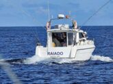 Rodman 900 Fly (ID=13749) - фото 6