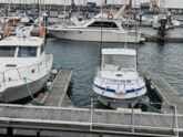 Tecninautica Marlin 22 (ID=13755) - фото 4