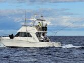 Riviera 39 Flybridge (ID=13758)
