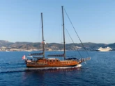 Custom built 183 (ID=13831)