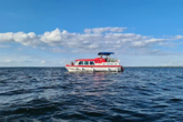 Pirate 1200 (ID=13919) - фото 32