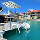 DH 550 (ID=13935) - фото 11