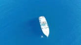 Motoryacht (ID=14106) - фото 15