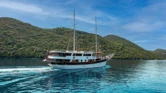 Motor sailer (ID=14209) - фото 22