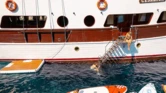 Motor sailer (ID=14209) - фото 12