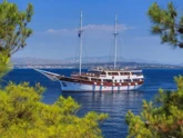 Motor sailer (ID=14209)