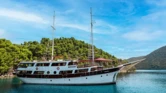 Motor sailer (ID=14209) - фото 8